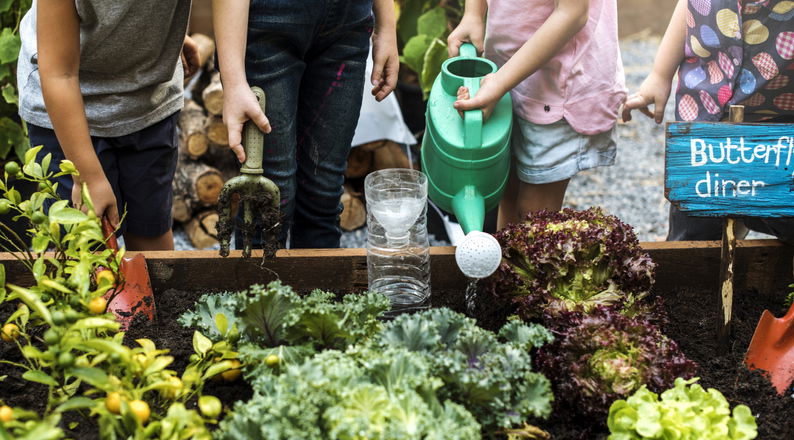 Group of kids learning gardening outdoors
