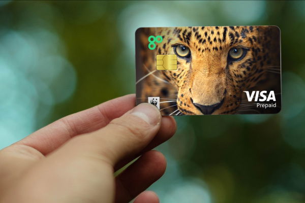 Wild cards