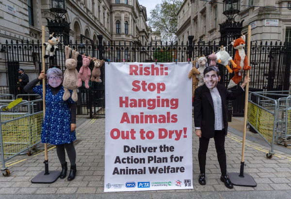 Action on animal welfare pledges
