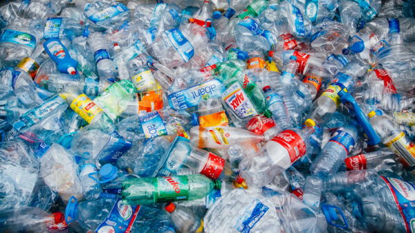 Stack of crushed plastic bottles waiting to be recycled
