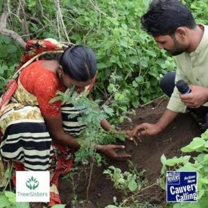 TreeSisters Tree Planting Subscription