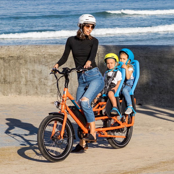 RadWagon electric cargo bike