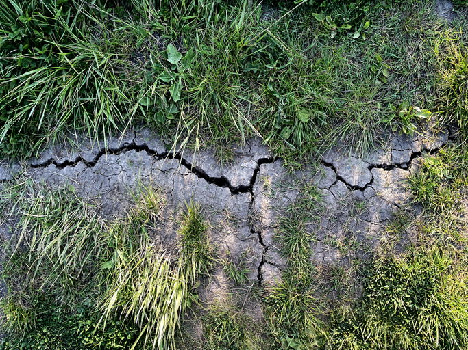 Dried, cracked footpath in Epping Forest, June 2023