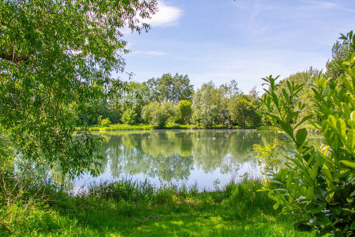 Cotswold Water Park, South Cerney, Cotswolds