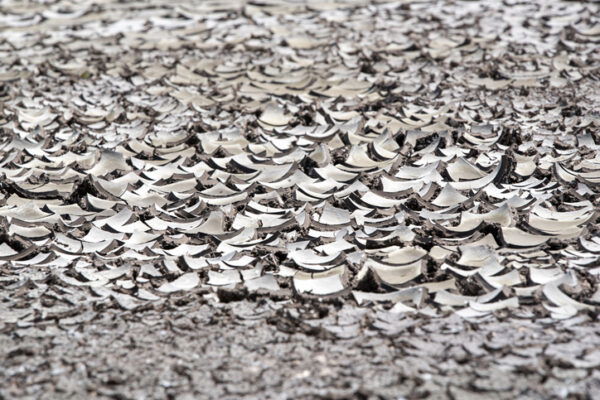 Kakhovsky reservoir; the texture of the dried-up bottom of the lake
