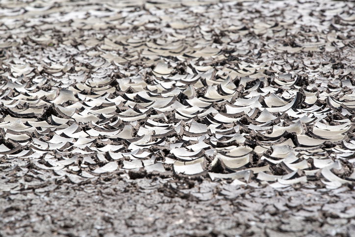 Kakhovsky reservoir; the texture of the dried-up bottom of the lake