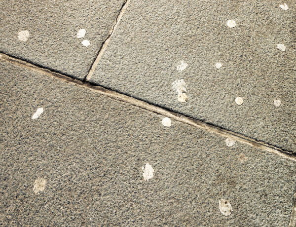 Chewing gum on the pavement