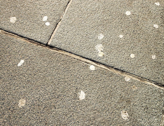 Chewing gum on the pavement