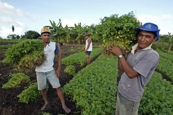 Investing in farmers