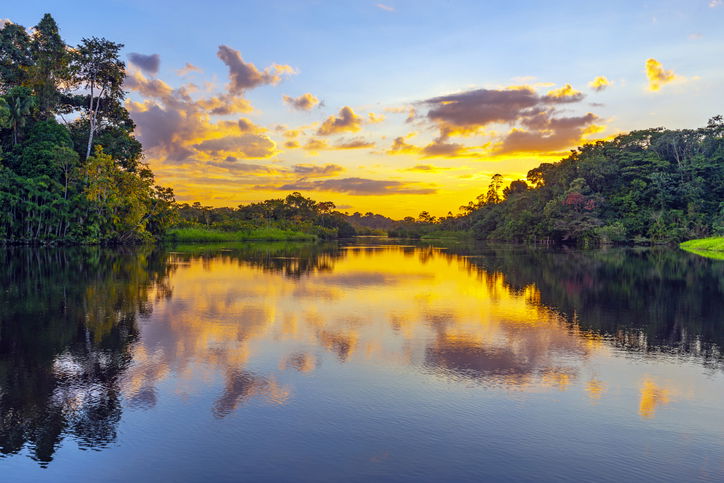 A magic sunset in the Amazon Rainforest inside Yasuni national park