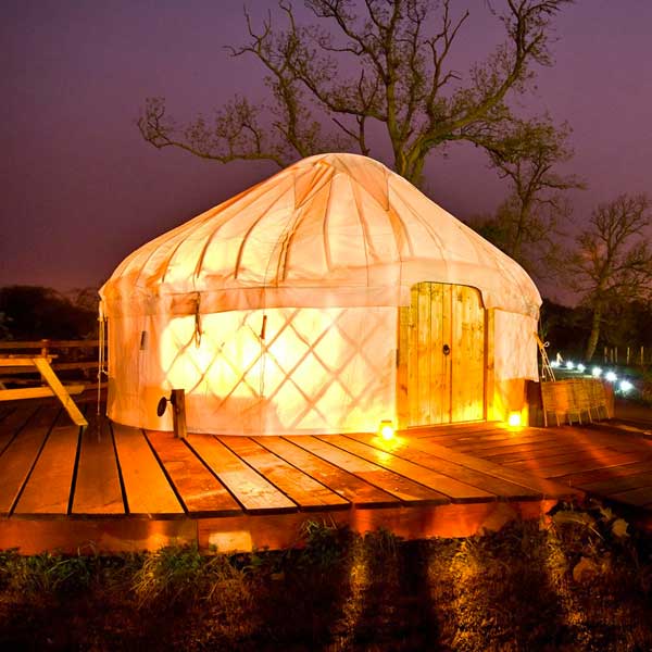 MyGreenPod Hero Canopy and Stars Cabin