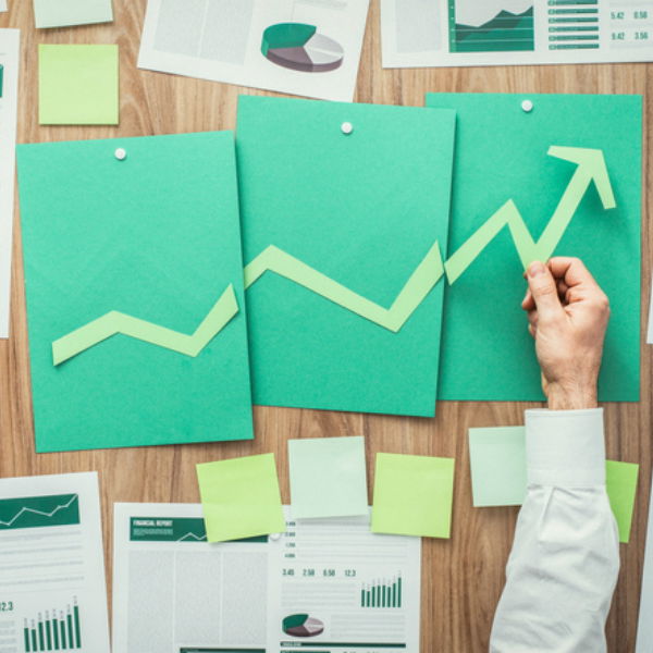 Green Element Small Business Package