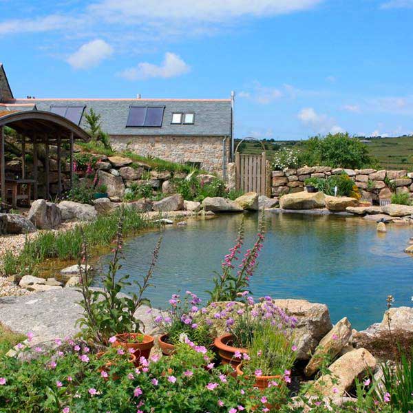 MyGreenPod Hero Little White Alice Pond