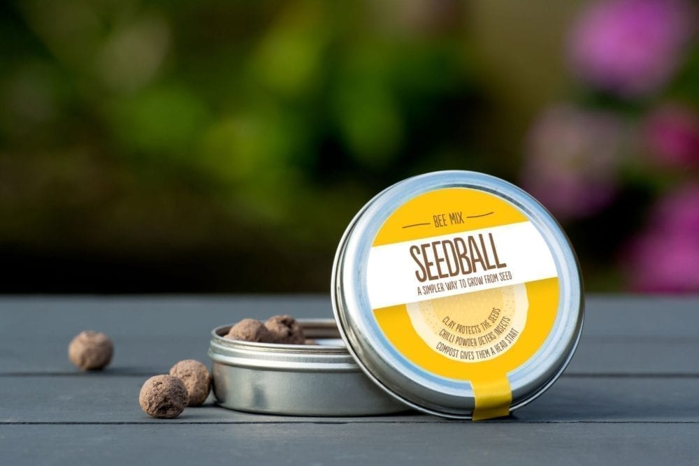 Seedball